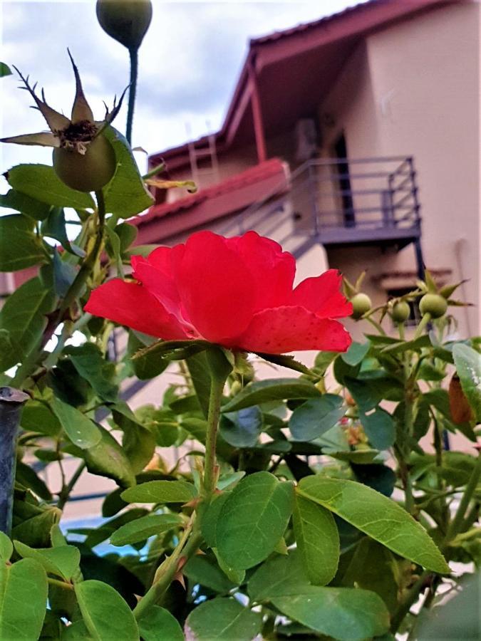 Alesta Apartment ตริกาลา ภายนอก รูปภาพ