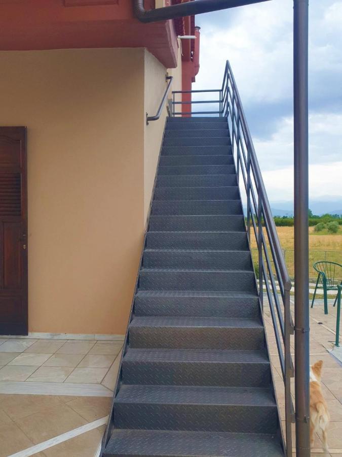 Alesta Apartment ตริกาลา ภายนอก รูปภาพ